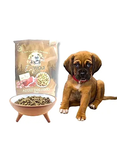 CANGO KÖPEK MAMASI 1KG