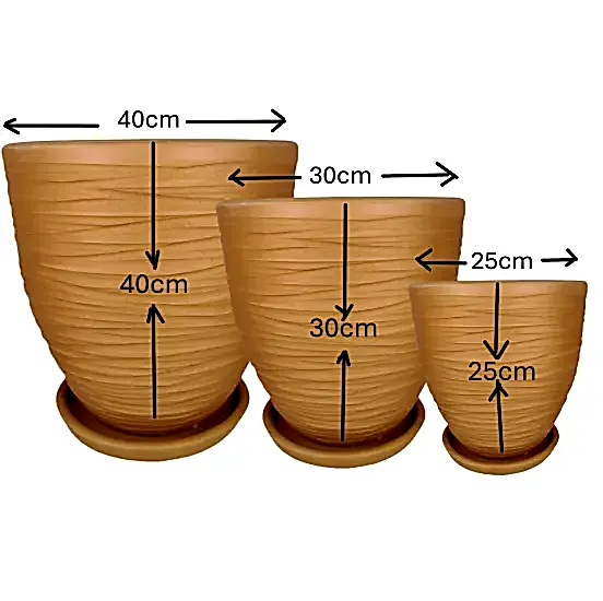 TOPRAK SAKSI ÇİZİMLİ NATUREL 3 LÜ SET