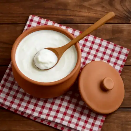 toprak sirli yogurtluk