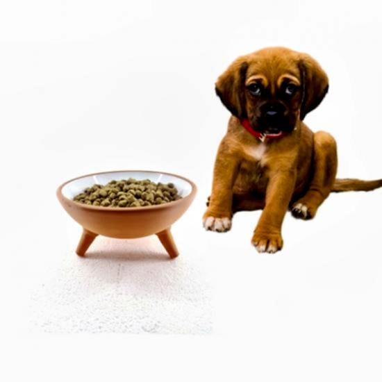 KEDİ KÖPEK MAMA KABI